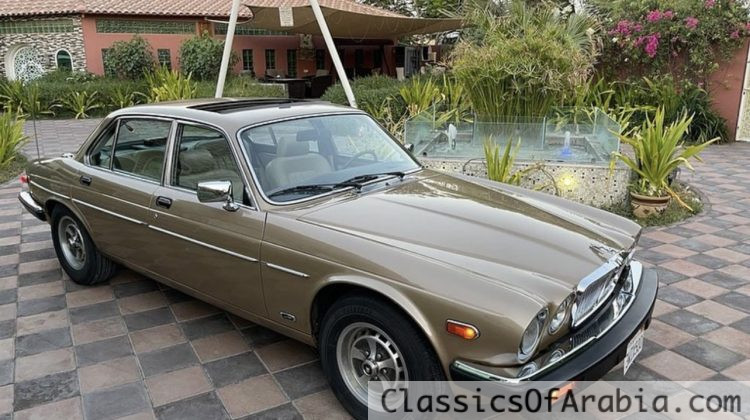 Jaguar XJ6