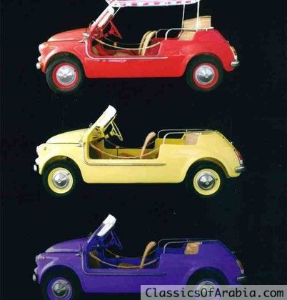 FIAT 500 JOLLY SPIAGGINA Tribute Thermic Engine & NUTS & BOLT