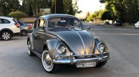 1963 vw beetle