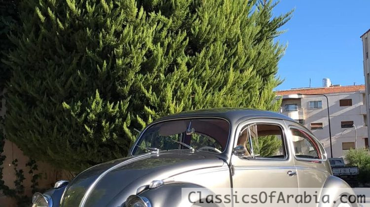 1963 vw beetle