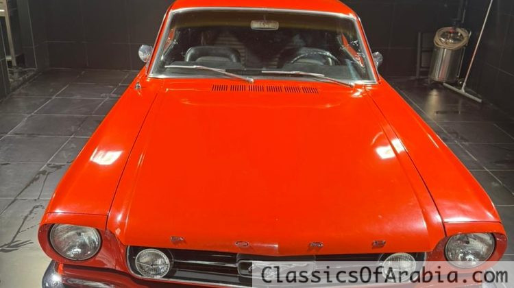 1965 Ford mustang 289